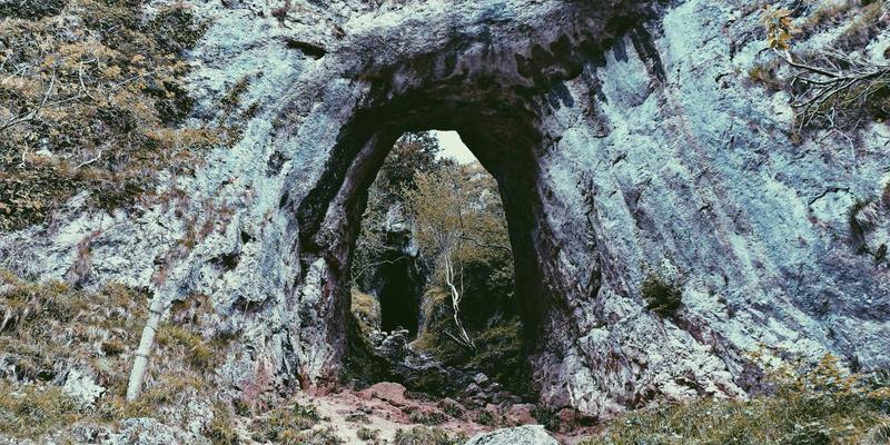 2024年智能手机深度评测与选购指南：解码数码产品新趋势