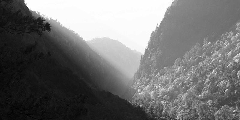 2024年智能手机选购全攻略：从评测到入手的数码科技指南