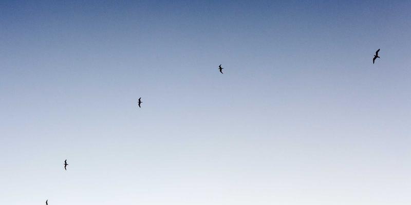 2025年手机资讯：数码科技新趋势与数码产品深度解析