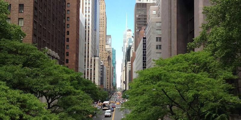 2025年智能手机评测与购买指南：最新手机资讯全解析