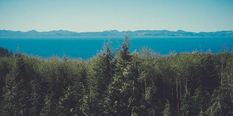 手机散热系统深度对比：VC均热板、石墨烯与液态冷却技术，谁才是游戏玩家的终极选择？