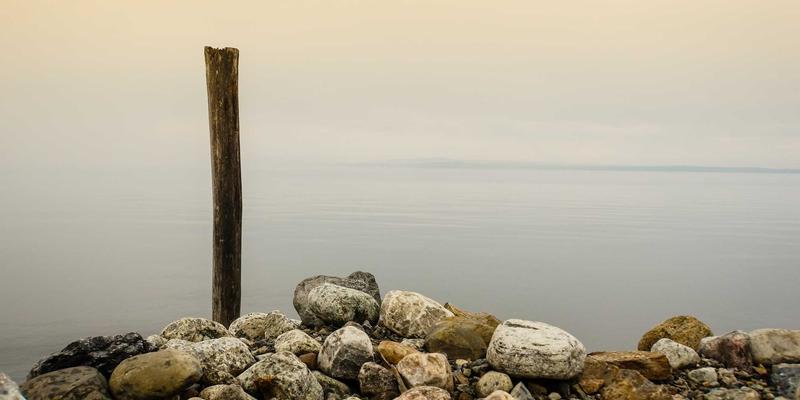 手机购买指南：X轴线性马达与转子马达的触感反馈深度对比，看懂智能手机的“震动玄学”