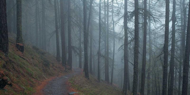 手机资讯19：从科技新闻到深度评测，一文读懂智能手机最新动态