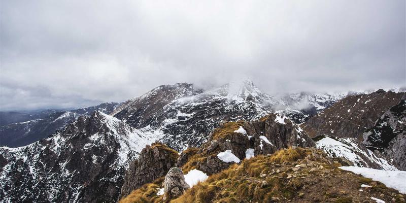 手机资讯50：科技新闻、评测与购买指南全解析