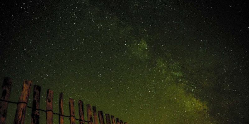 手机资讯88：解码数码科技新浪潮，洞悉未来移动生活