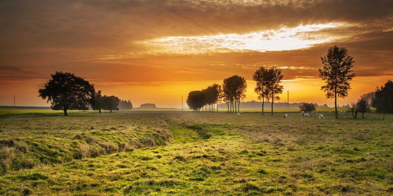 手机资讯与科技新闻:数码产品如何重塑我们的日常生活