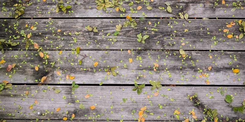 手机资讯 | 老年人智能手机选购指南与简易模式设置全教程