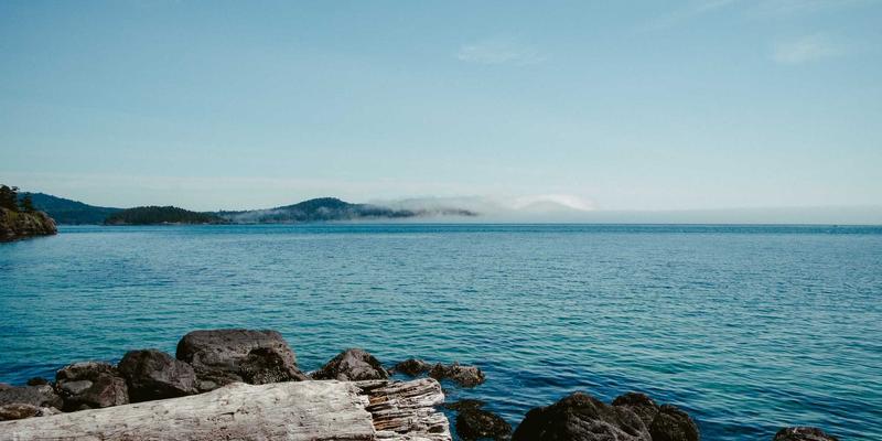 掌握数码科技脉搏：手机资讯如何成为你的科技决策指南