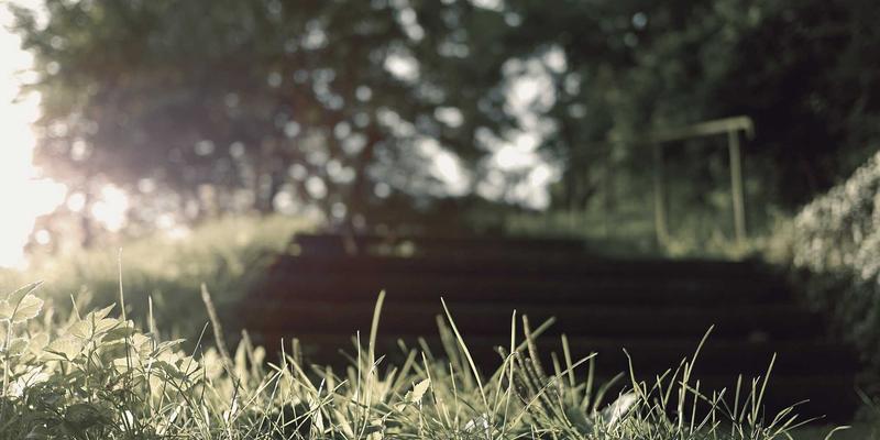 数码科技深度解析：徕卡、蔡司、哈苏如何通过联名塑造手机摄影风格