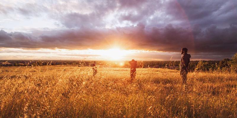 智能手机屏幕技术演进全解析：从LCD到Mini-LED与LTPO，你的下一部手机该怎么选？