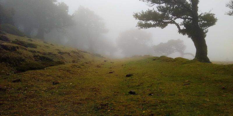智能手机评测：华为、苹果、荣耀卫星通信功能实测，无人区与海上应急通讯谁更可靠？